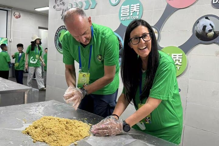 Panda Volunteer Day at Dujiangyan or Wolong Base — Hands-On Giant Panda Conservation Experience photo 4