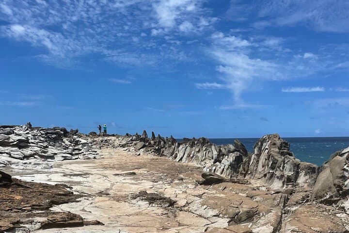 Custom Half-Day Maui Tour: Private Island Highlights & Snorkel Options photo 4
