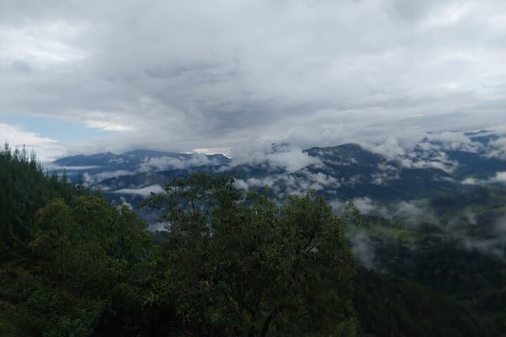 Carbonera & Tochecito Hike: Salento's Wax Palm Experience photo 5
