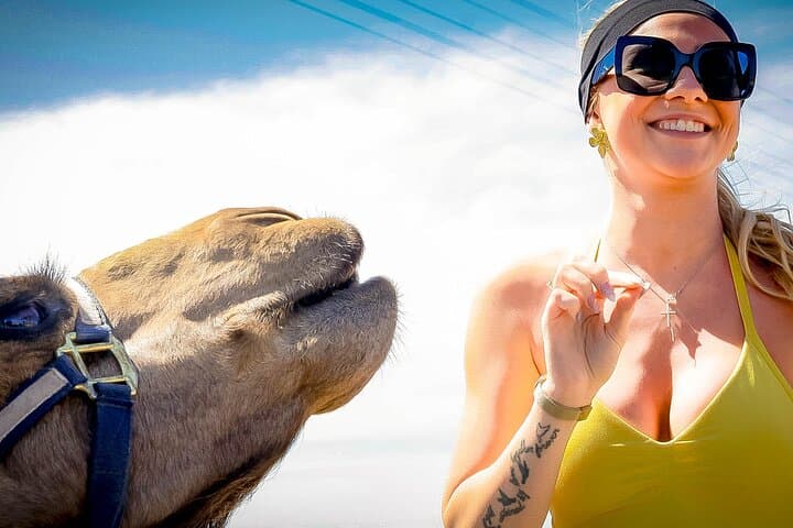 Cabo Beach Adventure: Camel Ride & Sky Bike at Migriño Beach photo 4