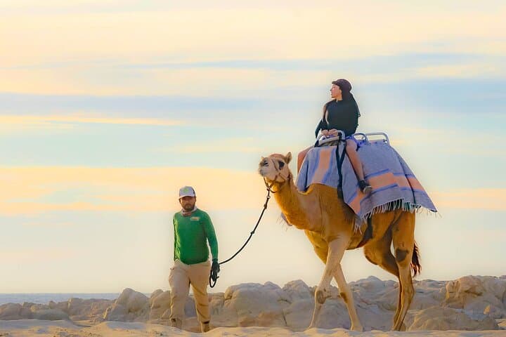 ATV and Camel Beach Combo in Cabo: Ride Dunes by Day, Camelback at Sunset photo 5