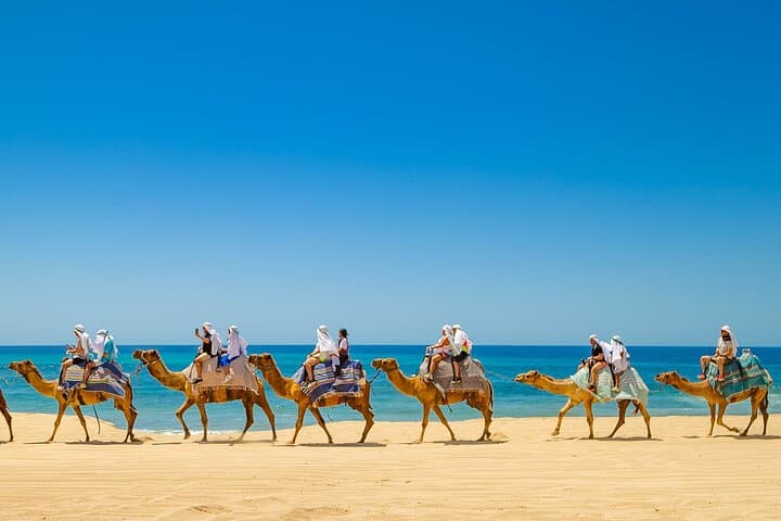 Cabo Beach Adventure: Camel Ride & Sky Bike at Migriño Beach photo 2