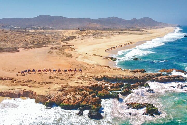 ATV and Camel Beach Combo in Cabo: Ride Dunes by Day, Camelback at Sunset photo 6
