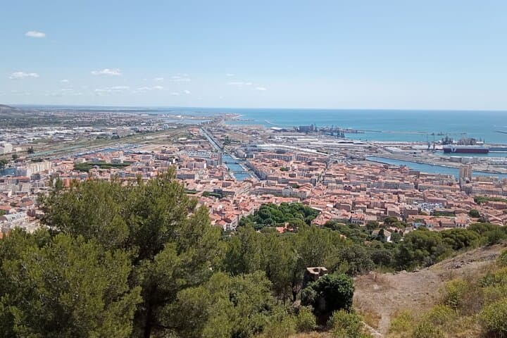 Half-Day Sète Canals & Market Flavours Tour from Montpellier photo 6