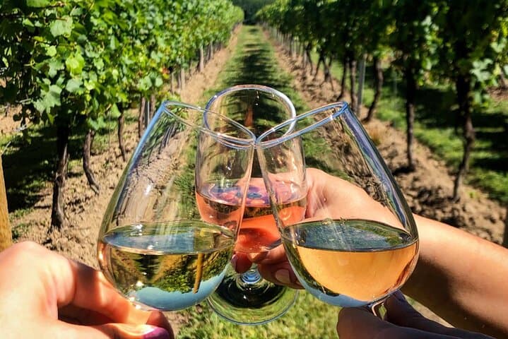 Kuşadası Shore Excursion: Private Wine Tasting, Weaving Cooperative & Ephesus Highlights