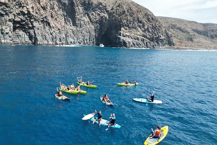 Kayak Turtle Bay & Snorkel with Dolphins — Palm-Mar Guided Tour, Tenerife photo 3