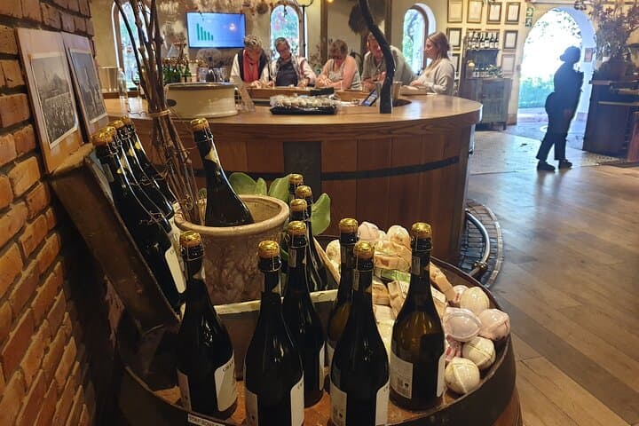 Heart Transplant Museum & Constantia Wine Tour — Cape Town Medical History and Wine Tasting photo 2