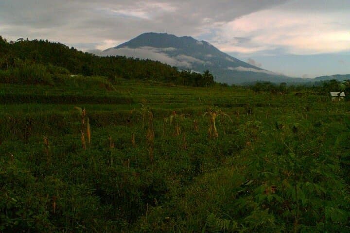 Sidemen Trekking: Rice Terraces, Temples & Mount Agung Views photo 3