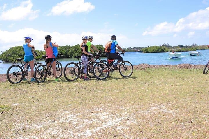 Guided Mountain Biking in Mauritius: Forest Trails, Coastal Cliffs & Lava Tubes