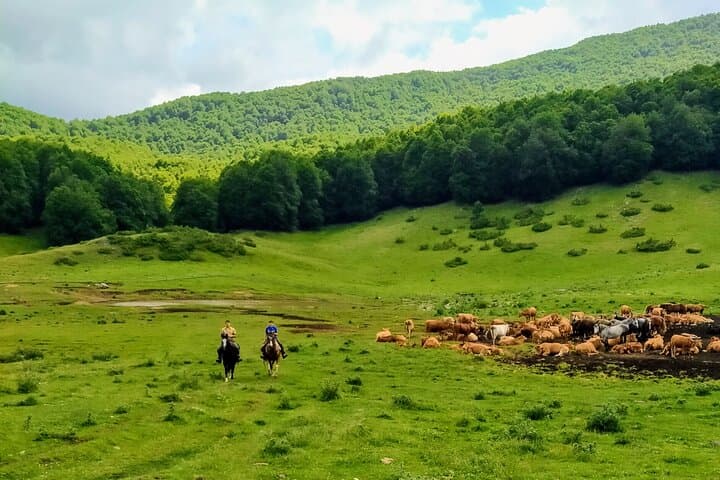 Horseback Riding in Simbruini National Park: Day Trip from Rome with Lunch & Wine photo 4