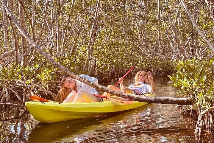 Self-Guided 2-Hour Key West Kayak Rental Through Mangrove Tunnels photo 3