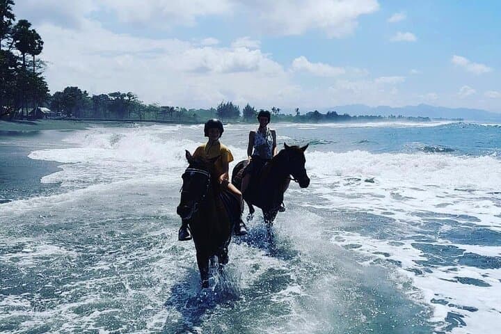Horseback Riding on Saba Beach: Trot & Canter with Temple Views in Bali