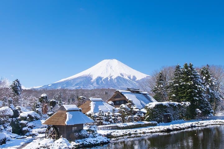 Mt Fuji One-Day Scenic Tour: Chureito Pagoda, Oshino Hakkai & Lake Yamanaka photo 2