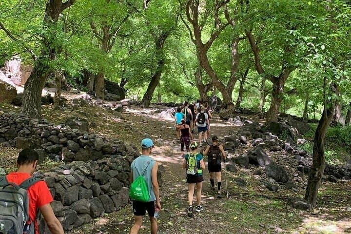 Ourika Valley Day Trip: Camel Ride, Berber Lunch & Waterfall Hike photo 3