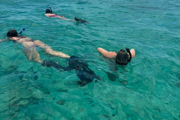 Half-Day Island Snorkel: Stingrays, Sharks & Tarpon Feeding (3 hrs) photo 5