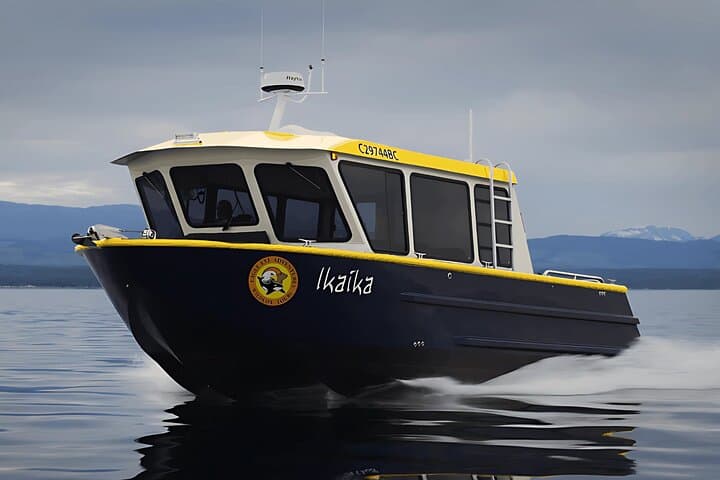 Toba Inlet Grizzly Bear Expedition from Campbell River photo 2