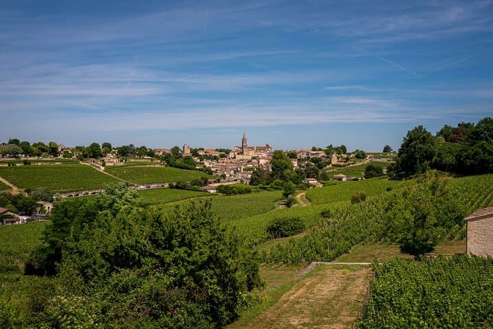 E-Bike Through Saint-Émilion: Full-Day Wine Tour from Bordeaux photo 4