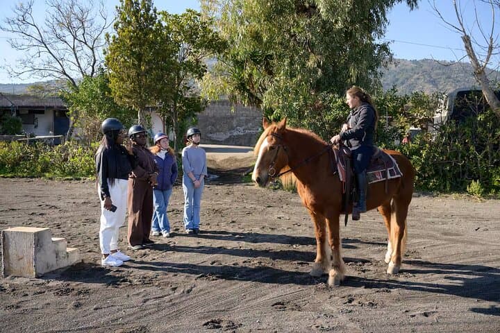 Horseback on Vesuvius: Scenic Ride, Volcanic Wine Tasting & Lunch photo 5