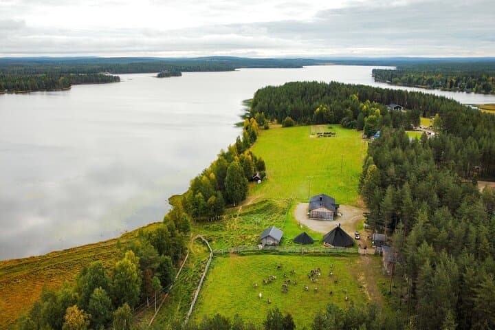 Reindeer Farm and Ranua Wildlife Park: Full-Day Arctic Wildlife Experience from Rovaniemi photo 3