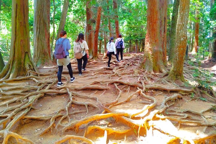 Kurama Temple Guided Hike: Mountain Legends, Tengu Lore & Root Path Walk photo 4