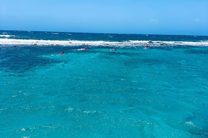 Negril Private Tour: Luxury Car Transfer to Seven Mile Beach & Rick's Café photo 5
