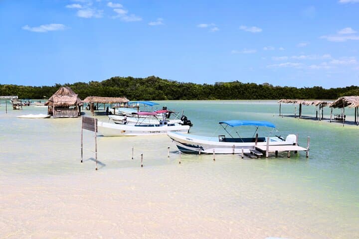 Isla Columpios & Progreso Day Trip from Mérida — Boat, Beach and Local Flavors photo 3
