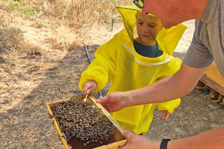 Zakynthos Bee Kingdom: Hands-On Beekeeping Experience in Tsilivi photo 4