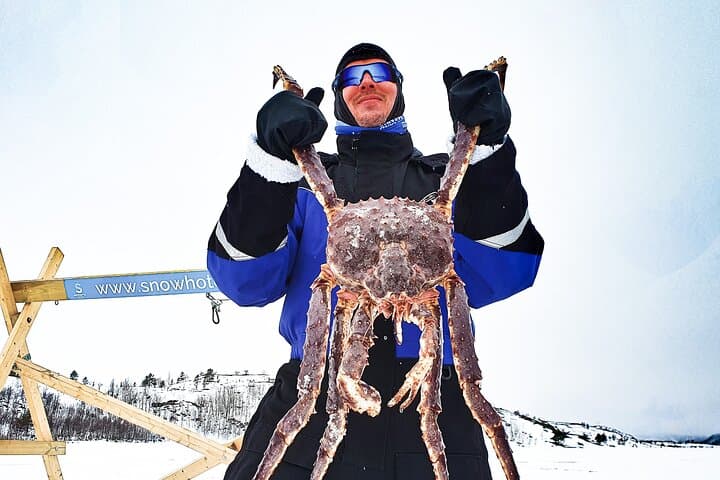 Arctic King Crab Safari and Snowhotel Visit from Saariselkä photo 5
