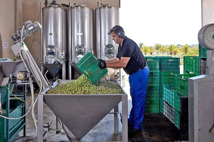 Olive Oil Lagar Tour in Moncarapacho: Olive Tasting & Lagar Visit in the Algarve photo 6