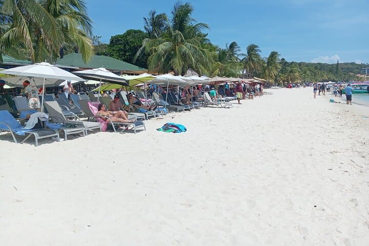 Private Roatan West Bay: Snorkel Reefs, Chocolate & Rum Tasting photo 5