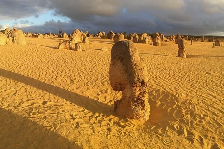 Pinnacles Express: Half-Day Tour from Perth to Nambung National Park photo 4
