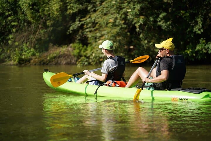 Paddle the Little Danube: 8km Canoe Trip from Bratislava photo 4
