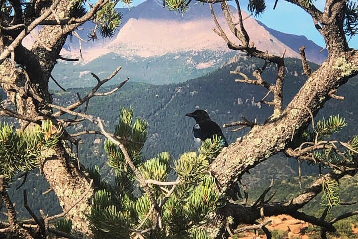 Exploring Garden of the Gods: A Private Tour Through Colorado’s Rocky Foothills photo 2