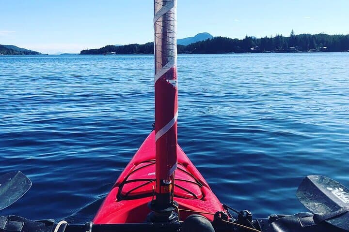 4-Day Private Sailing Adventure in Alaska's Inside Passage photo 5