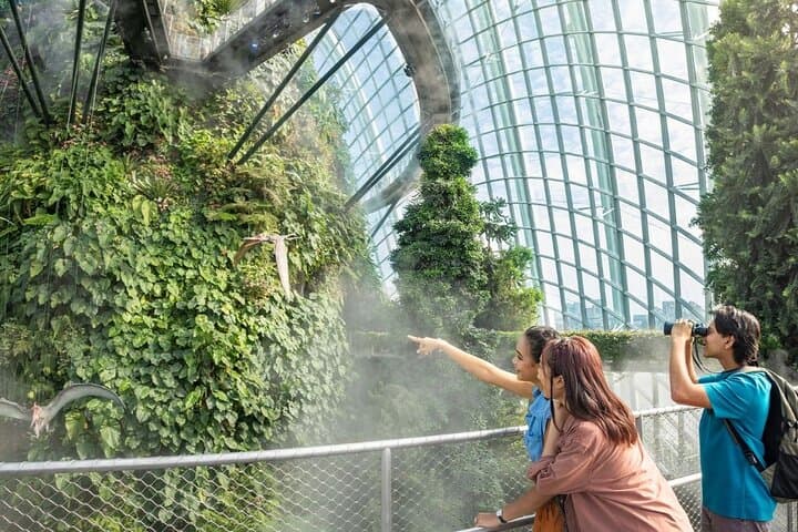 Gardens by the Bay: Flower Dome & Cloud Forest Conservatories Guide photo 3