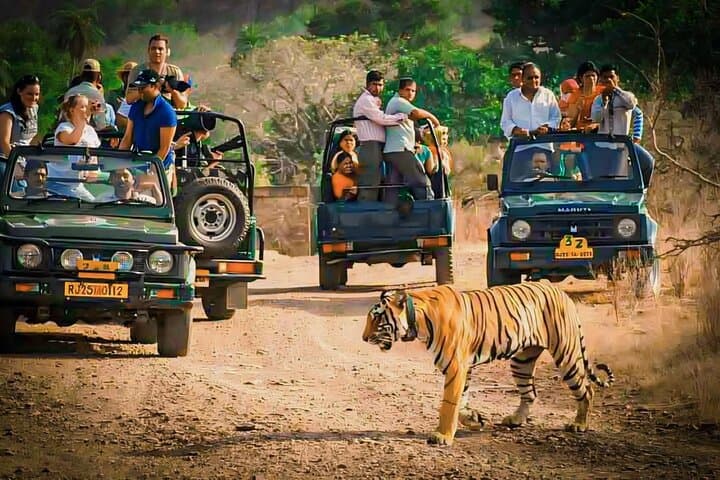 Private Ranthambore Jeep Safari — All-Inclusive Advance Permit photo 2