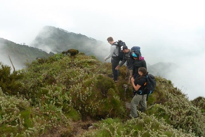 Mount Sabyinyo Day Hike: Conquer the Triple-Border Volcano in Rwanda