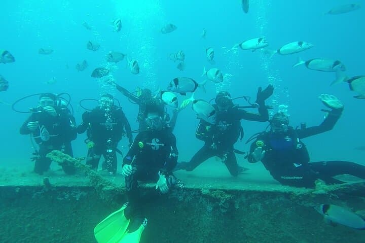 Zenobia Wreck Dive — Two Dives from Larnaca, Cyprus photo 5