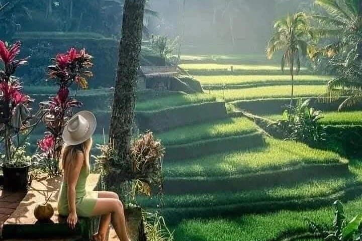 Best of Ubud Private All-Inclusive Sightseeing Tour