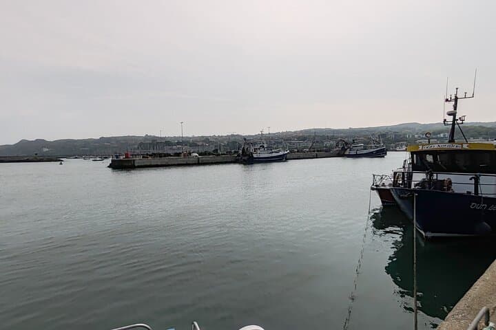Howth and Malahide Castle Private Coastal Tour from Dublin photo 5