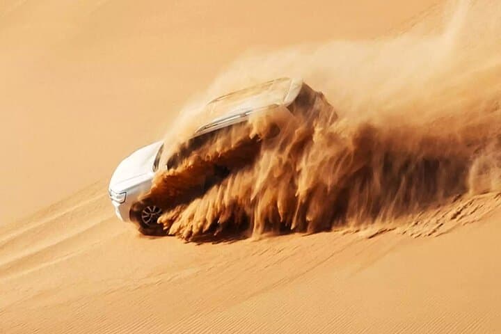 Dubai Desert Escape: Red Dunes Safari, Falcon Encounters & BBQ Dinner