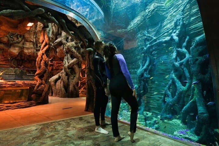 Inside Dubai's Green Planet: Tropical Rainforest Experience & Practical Visitor Guide photo 6