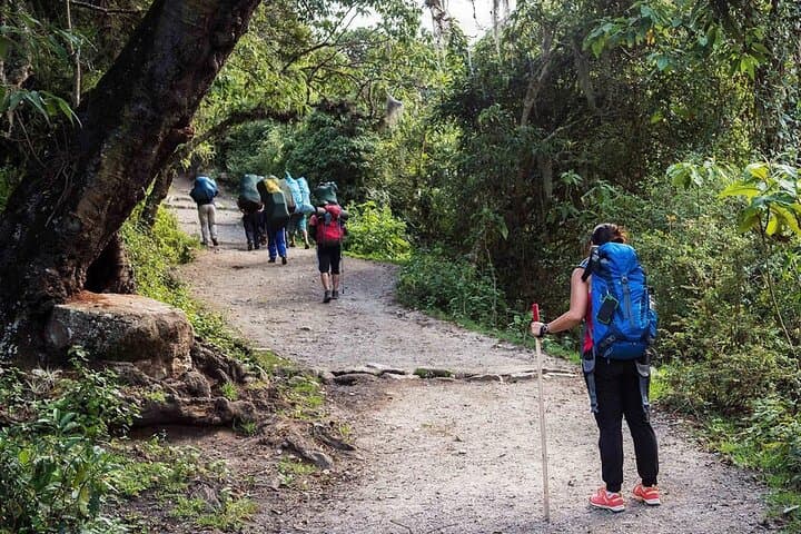 Cusco 2-Day Inca Trail & Machu Picchu: Short Trek from Km 104 with 1-Night Stay
