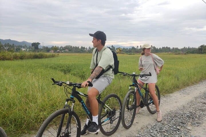 Ride Langkawi’s Quiet Roads: Countryside Cycling Tour through Paddy Fields and Villages photo 3