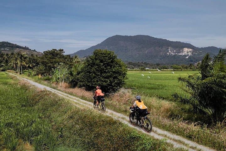 Ride Langkawi’s Quiet Roads: Countryside Cycling Tour through Paddy Fields and Villages photo 4