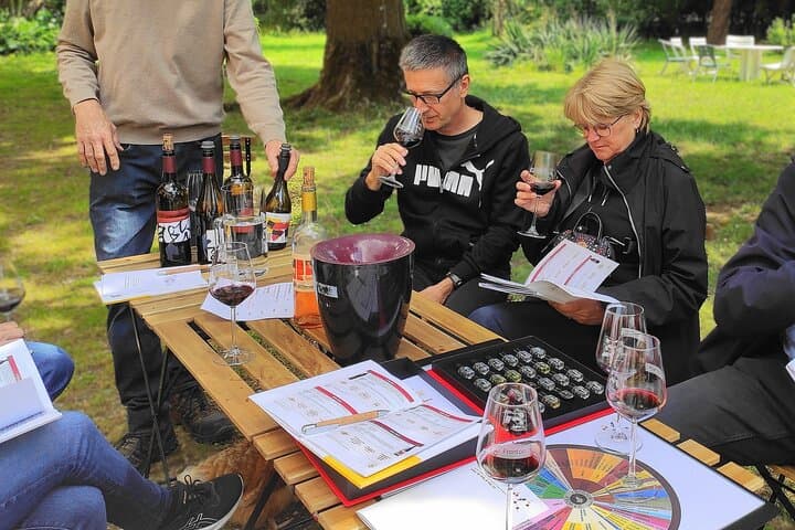 Fronton Small-Group Wine Tour from Toulouse: Winemaker Visits & Tasting Experience