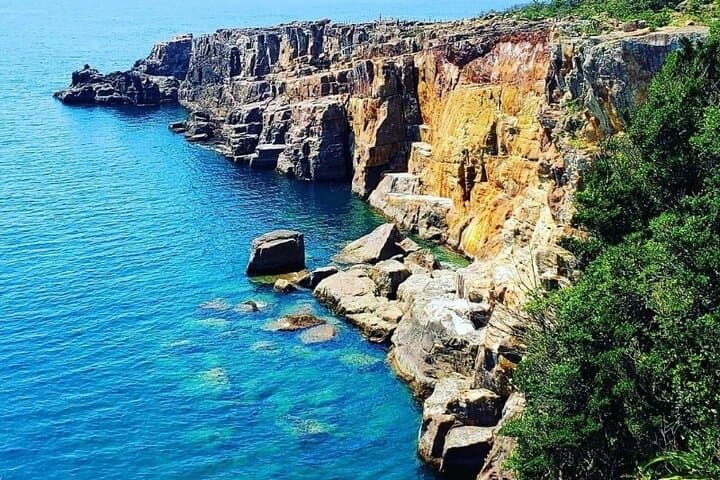 Chartered Shirahama Day Tour from Osaka — Beaches, Cliffs & Seafood photo 2