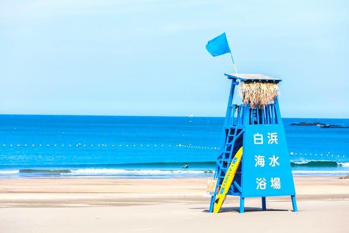 Chartered Shirahama Day Tour from Osaka — Beaches, Cliffs & Seafood photo 3