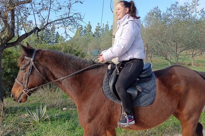 Cagliari Panoramic Horseback Riding in Sette Fratelli Park photo 5