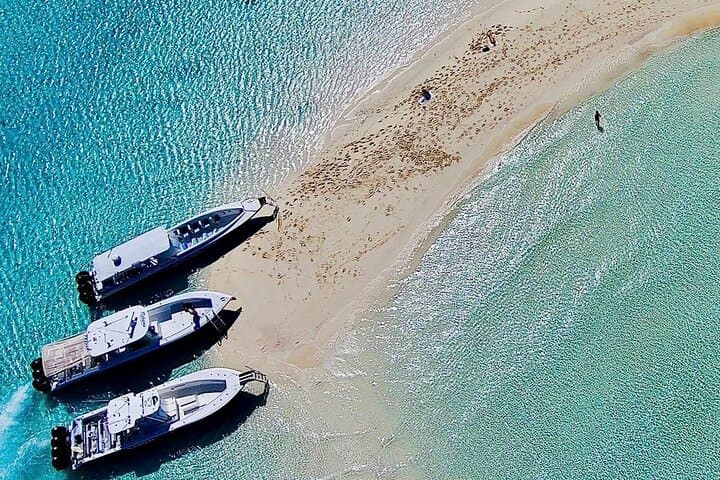 Full-Day Exuma Swimming Pigs Tour From Nassau: Iguanas, Sharks & Sandbars photo 3